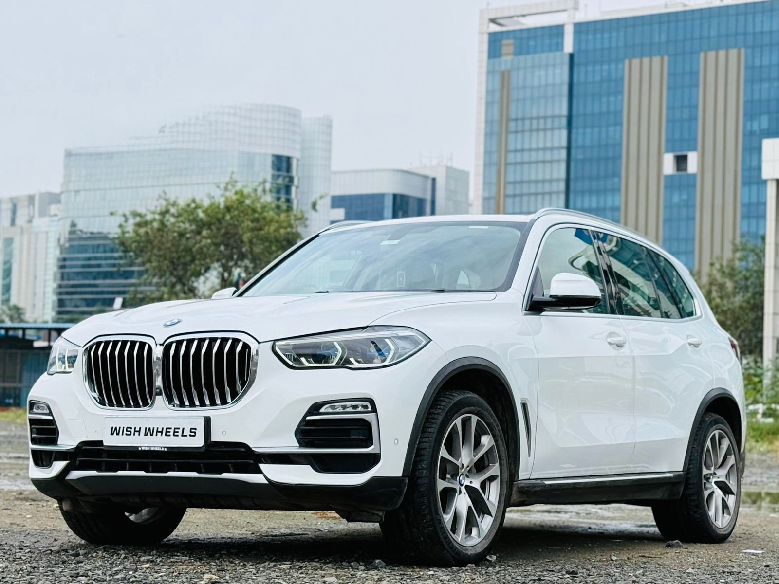 BMW X5 X-Line 30d